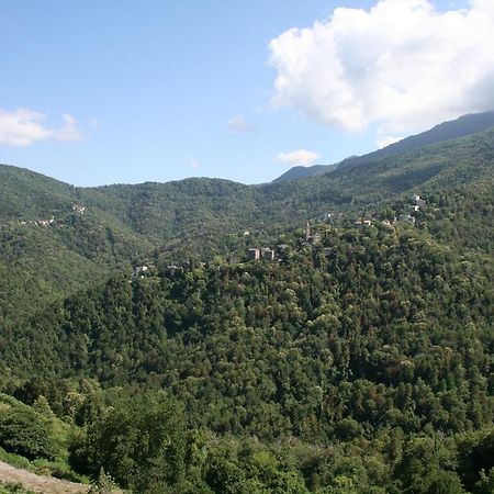 Le Refuge Orezza Piedicroce  Room photo