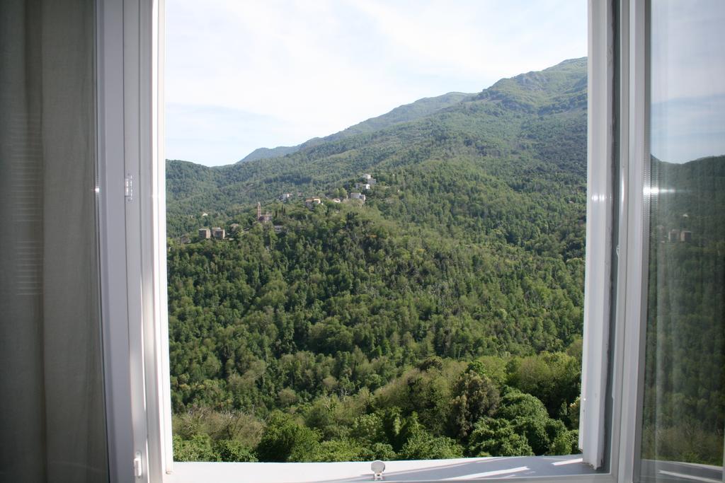 Le Refuge Orezza Piedicroce  Room photo
